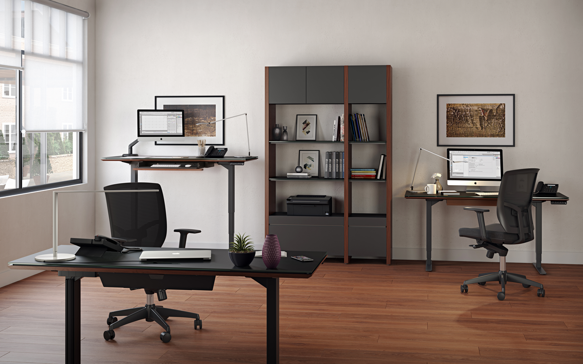 Modern office setting with two sitting desks and chairs, one standing desk 