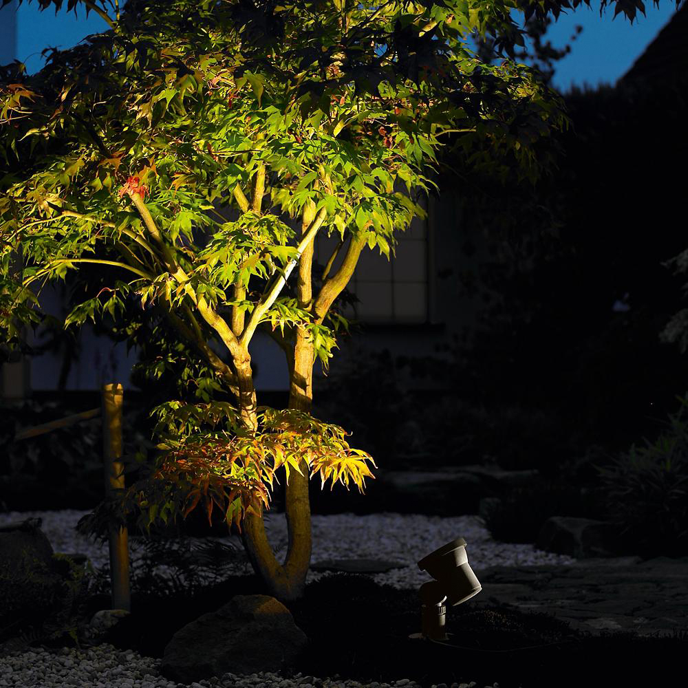 best landscape lights for trees