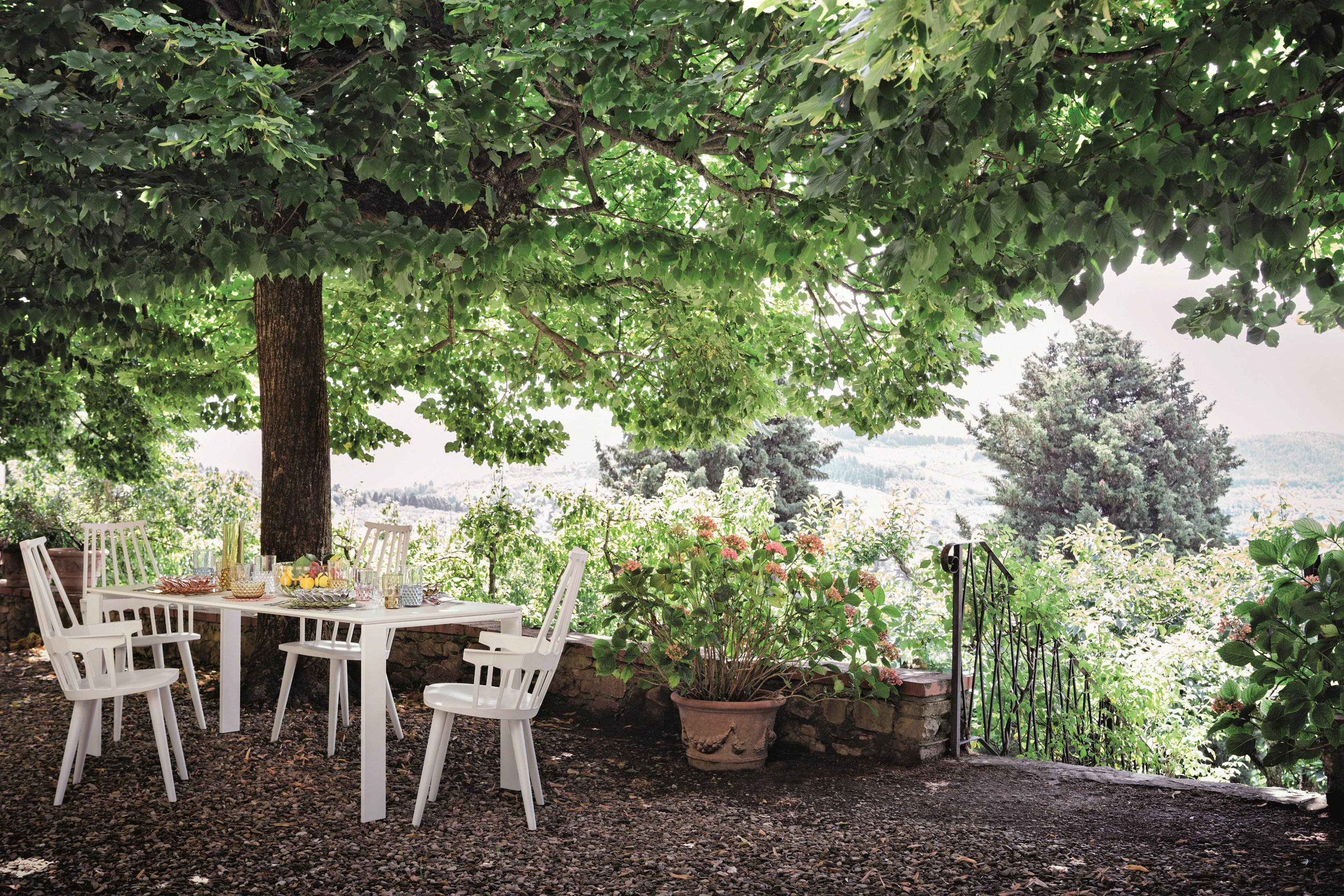 Outdoor dining scene with white furniture beneath a large tree
