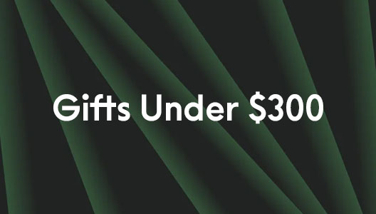 Gifts Under $300.