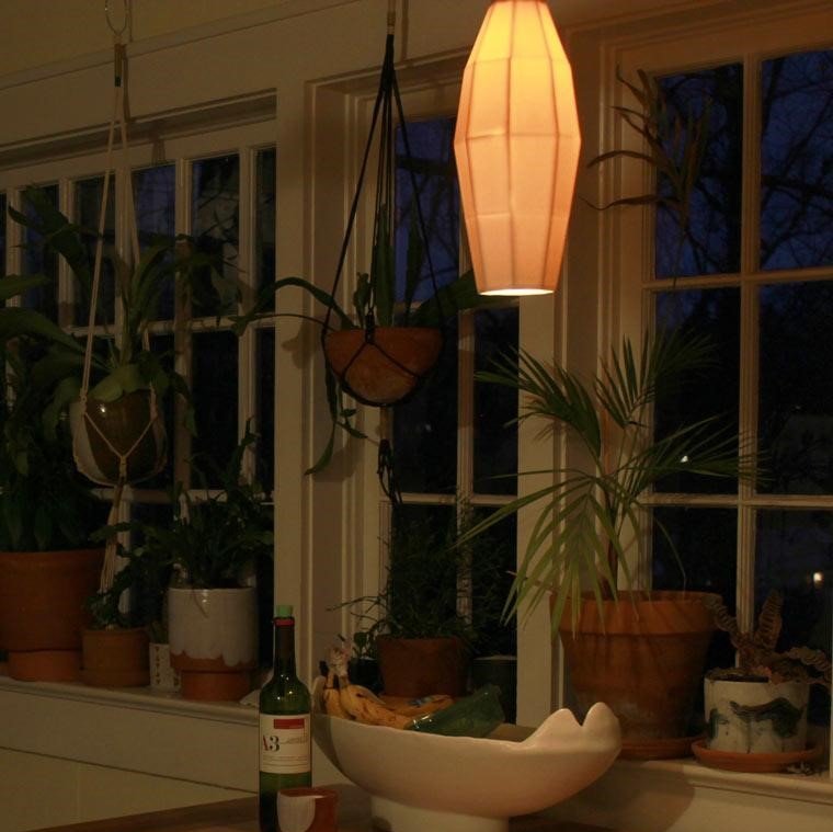 Homely kitchen with plants and a pendant.