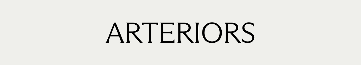 ARTERIORS