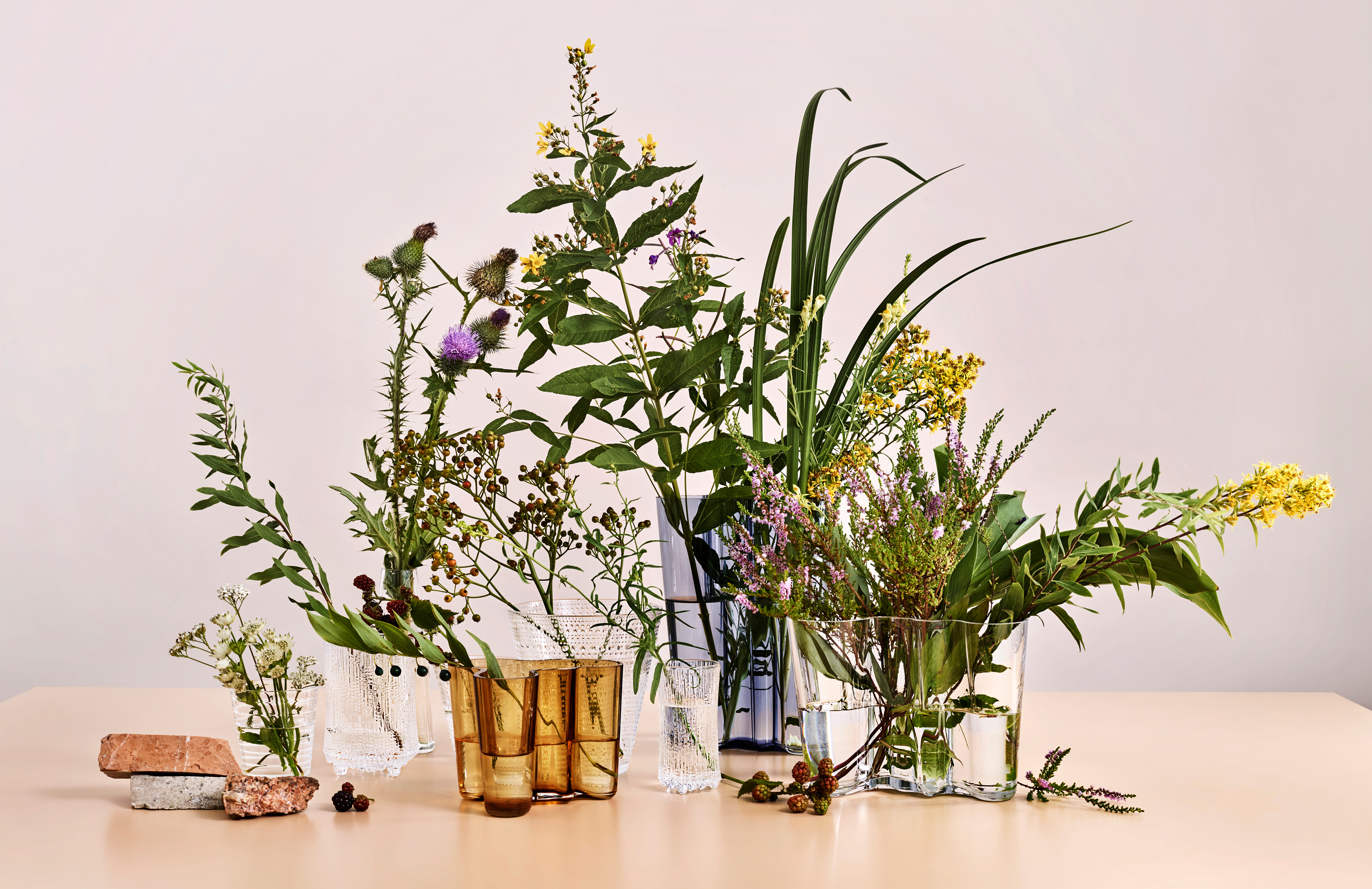 Plant life in colored vases against pale pink backdrop