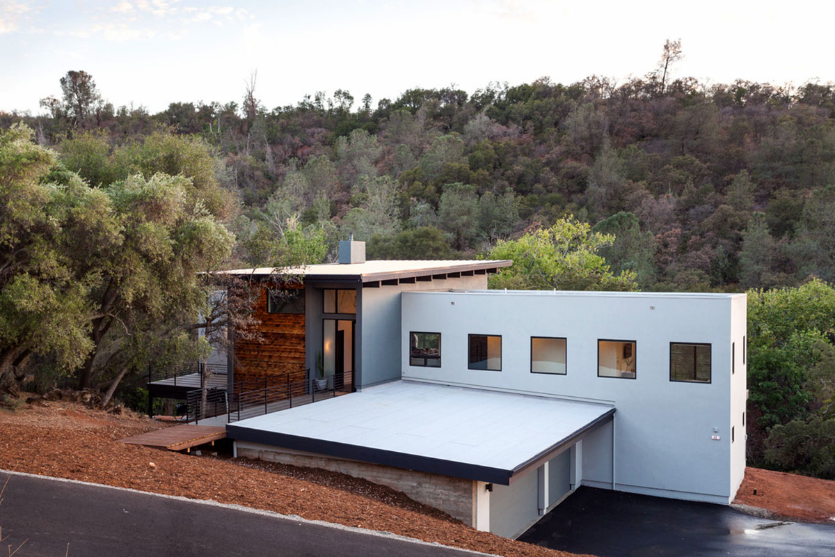 Inside Look: A Modern Nest in the Woods.