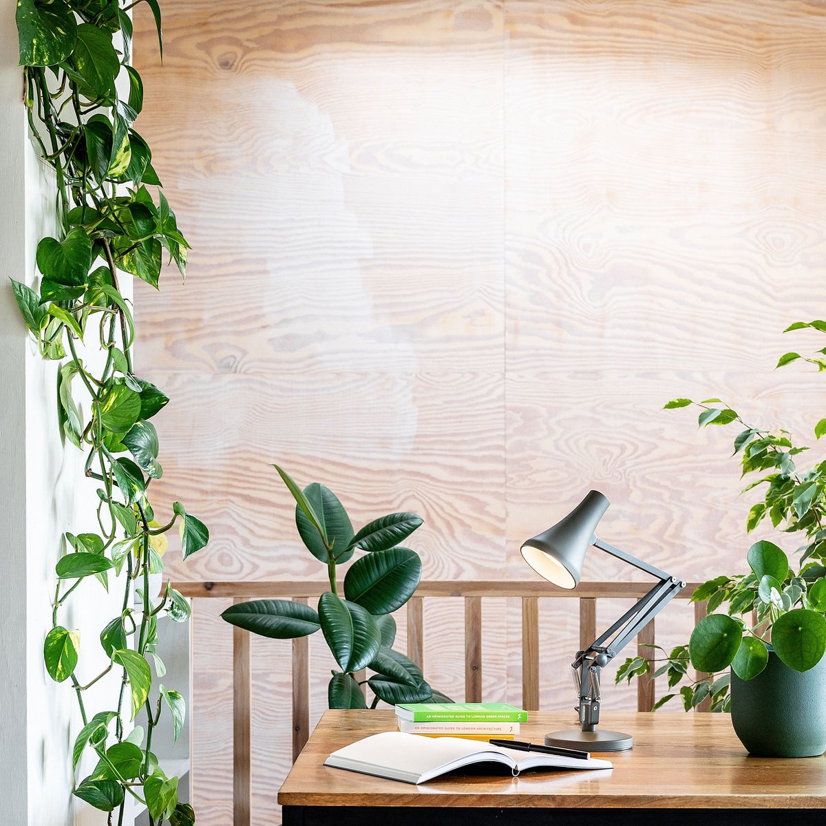 Plants around a work desk reduce stress.