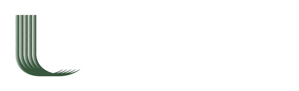 Lumens Logo. Enlightened by Design.