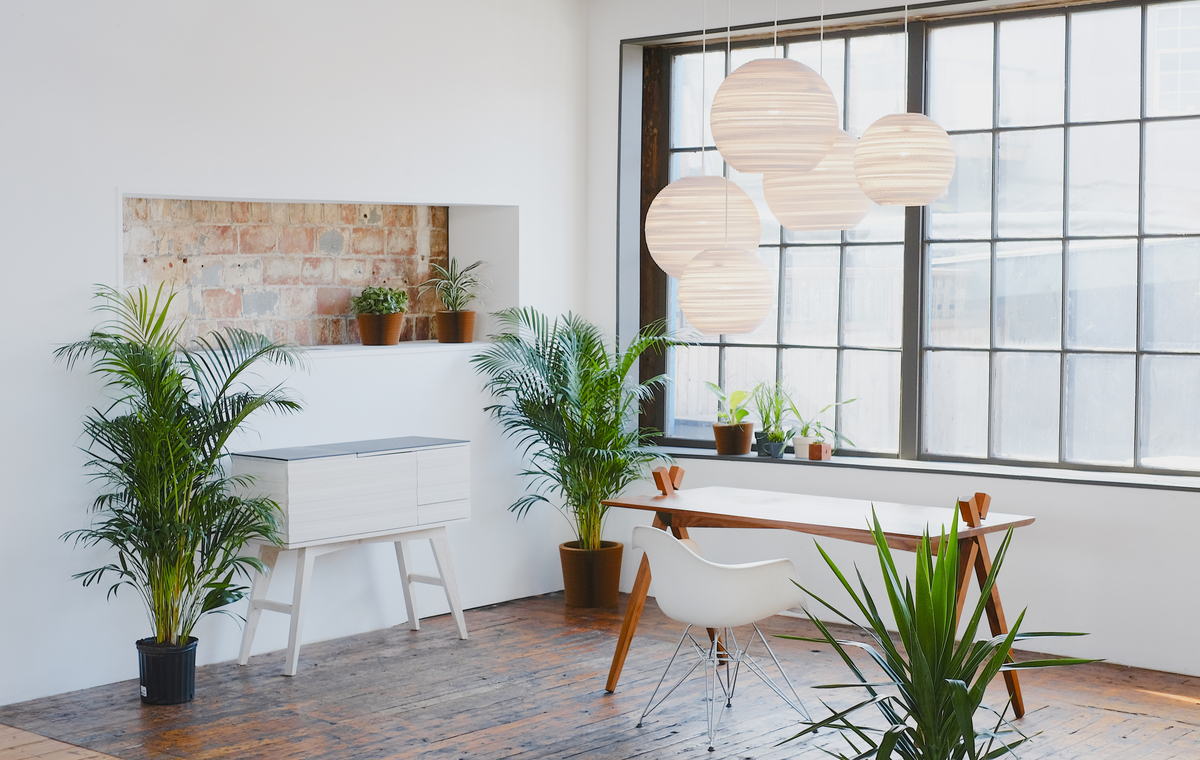 An indoor office with plants and the Scraplights Moon Pendant