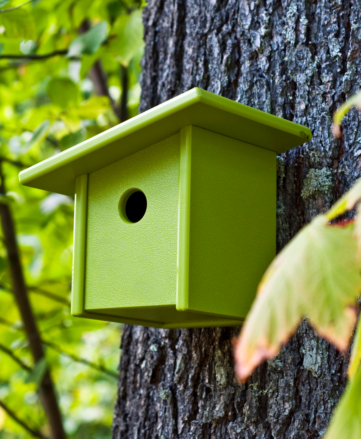 Birdfeeders bring nature closer.