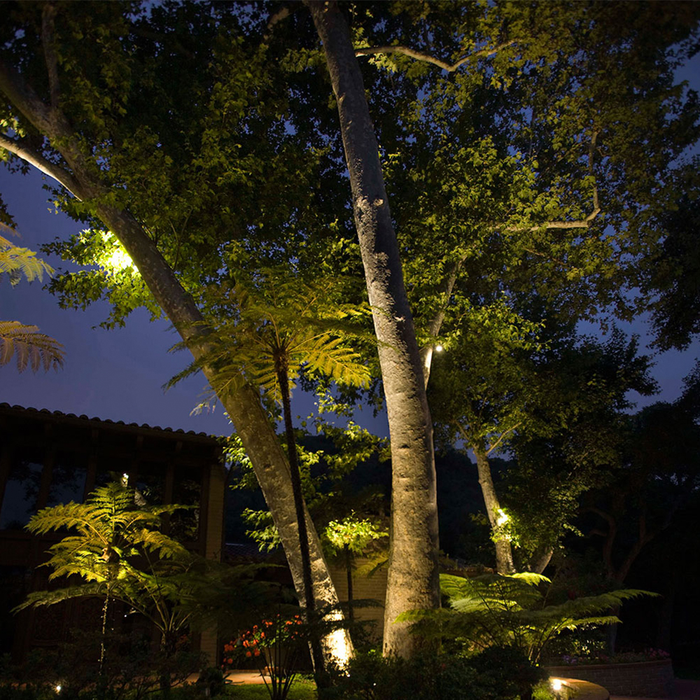 Landscape Lighting Boca Raton