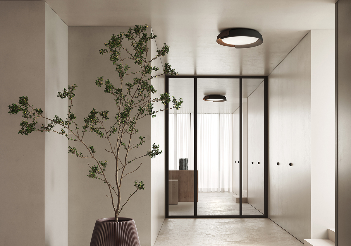 A hallway with a houseplant and a flushmount light.